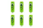6x Sunsilk 300ml Womens Lively Clean & Fresh Revitalizes Hair Care Conditioner
