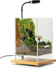 Desktop Glass Plant Terrarium with Grow Light (Length:5.9in, Width:5.9in, Height:9in), for Succulent, Moss, Miniature Gardening Landscape, Betta Fish Tank, Indoor Plant Growth, Office Home Decoration