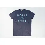 『全新正品』HCO HOLLISTER 海鷗 男短TEE