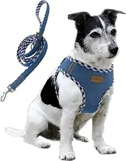 Aiminto Premium Denim Dog Harness and Leash Set, Step in, Breathable Mesh, Lightweight, Reflective Vest Harness - for Small Dogs (Baby Blue, S)
