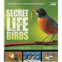 在飛比找蝦皮購物優惠-【小蜻蜓】鳥的祕密生活 BBC Secret Life of