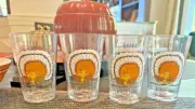 Snoopy Pottery Barn peanuts Thanksgiving Cup Holiday party Disney gift kid SET 4
