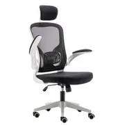 Ergonomic Mesh Office Chair: Comfortable, Adjustable, and Modern