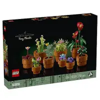 在飛比找Yahoo!奇摩拍賣優惠-樂高 LEGO 10329 迷你盆栽