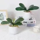 EVA Artificial Orchid Leaves Vivid Fake Phalaenopsis Plant Garden Decoration