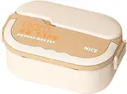 Insulated Lunch Box, Leakproof Lunch Container, Portable Food Storage Box, Salad Lunch Box, Stainless Steel 23 x 14 x 8.5 cm/9.06 x 5.51 x 3.35 Inches Boxes Container with Compartments for
