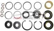 POWER STEERING RACK AND PINION SEAL KIT FITS TOYOTA RAV4 1996-2003 (for: Toyota)