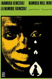20x30"Decoration CANVAS.Interior room design art.Political Africa Namibia.6481