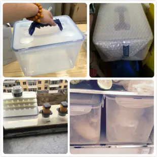 現貨 免運樂扣樂扣塑料保鮮盒手提長方形冰箱收納盒密封防潮盒 HPL889 12L Rr1m