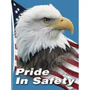 Accuform Safety Poster,22 in x 17 in,Plastic SP124511L Accuform SP124511L