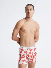 Calvin Klein Men's Cotton Stretch Valentine's Day Boxer Brief, White/Red, Sz S