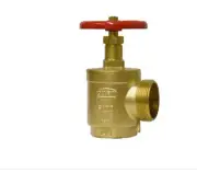 Model F100 2-1/2 in. FNPT x No Hub Wheel Fire Hose Valve in Brass ZURN WILKINS
