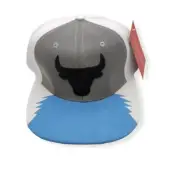 Mitchell & Ness Chicago Bulls Day 5 White/Blue Adjustable Snapback Hat Cap