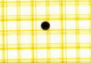 Remnant of Fabric 9X21 for Crafts, Quilting, Yellow & White Plaid