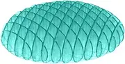 Fidget Worm Toy, Worm Big Fidget Toy, Sensory Slug Fidget Toy, Popping Worm Stretchy Toys, Worm Toy for Kids Adults, Stress Relief Fidget Toys, Resistances Fidget Toys, Sensory Stress Relief Toy