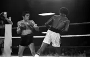 Bobby Chacon Looks To Throw A Punch V Cornelius Boza Edwards 1 Old Boxing Photo