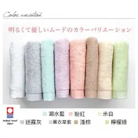 在飛比找蝦皮購物優惠-(現貨)(日本今治毛巾) 日本 今治毛巾 浴巾 超長棉系列 