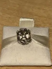 Authentic Pandora Charm 799240C01