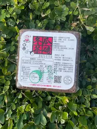 在飛比找Yahoo!奇摩拍賣優惠-老頭家 紅冬瓜茶磚(550g)/塊