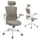 Ergonomic Office Chair with Adjustable Lumbar Support & Headrest, High Back