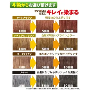 現貨 日本🇯🇵sastty利尻昆布天然植物 植物染髮洗髮精 200ml