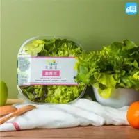 在飛比找蝦皮購物優惠-NICE GREEn 美蔬菜盒(最美妍) 1盒 生菜 溫沙拉