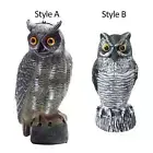 Owl Decoy Scare Squirrels Bird Scarecrow Fake Owl Decoy Sculpture Realistic Owl