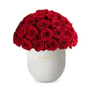 Rose Box Nyc 50 Rose Half Ball Arrangement