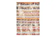 Napolean Ancona Multi Rug