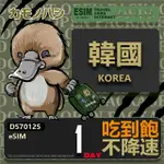 【鴨嘴獸 旅遊網卡】韓國ESIM 單日吃到飽 高流量網卡(韓國上網卡 免換卡 高流量上網卡)