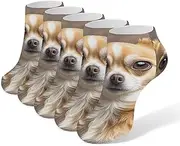 [LPSADGF] Cute Chihuahua Socks Low Cut Ankle Sock Athletic Running Low Cut Socks Thin Soft Ankle Socks Unisex, White, One Size Short, White, One Size Short