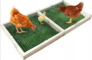 Solution4Patio Chicken Grazing Box | Chicken Salad Bar | 47" x 24" New