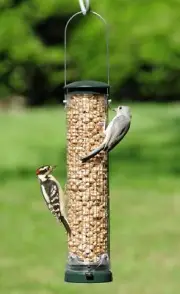 Bird Feeder Peanuts Spruce Quick Clean Peanut Mesh