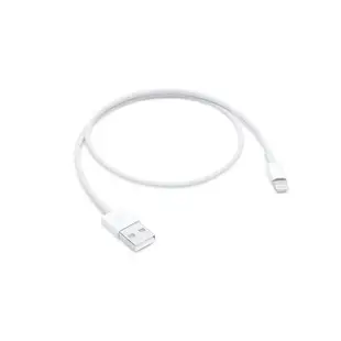 APPLE 蘋果 Lightning 對 USB 連接線 0.5 公尺 充電線 傳輸線 原廠 ME291FE/A