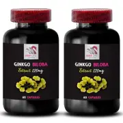 Cognitive pathways - GINKGO BILOBA EXTRACT - Memory framework 2 Bottles 120 Cap