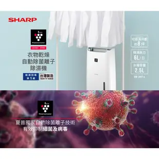 SHARP 夏普 能效一級 台灣製 自動除菌離子除濕機 DW-L6HT-W