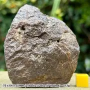 313g Genuine H5 Common Chondrite Meteorite from Northwest Africa, Morocco -