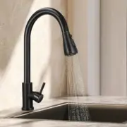 Kitchen Tap with Pull-out Spray Taps 360° Rotate Spout Sink Faucet Pull-down