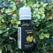 Lemon Essential Oils ~ Pure Natural Aromatherapy Massage Oil - Therapeutic Grade - 100% Natural Incense - Pure Essential Oil (15ml)
