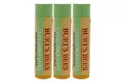 Cucumber Mint Moisturizing Lip Balm by Burts Bees for Women - 0.15 oz Lip Balm - Pack of 3