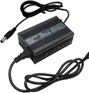 54.6 V 5 A 48 V Lithium 48 Volt Li-Ion 54.6 V 5 A Smart Smart Battery Charger for 13s Battery Charger with DC5.5 * 2.5 Connector
