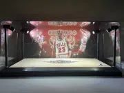 Michael Jordan Custom 2-card PSA & BGS display case with LED lights - Bulls