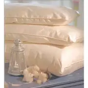Organic Cotton Natural Kapok Filled Pillows - Throw Pillow Kapok Regular Fill