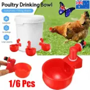 Automatic Chicken Water Cup Waterer Poultry Drinking Bowl Feeder Drinker Tool VN