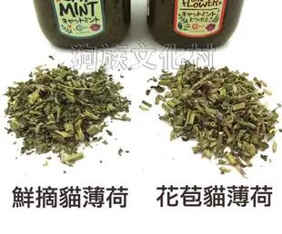 -貓公爵-鮮摘醇品貓薄荷 大罐裝55克 【C-S-477鮮摘貓薄荷/ S-480含花苞貓薄荷】