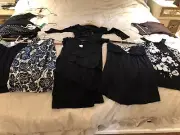 10 Piece Nwt XS/S White House Black Market Lot Tops Dresses Over $700 Value