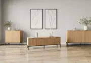 NORMAN Entertainment Unit