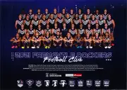 Fremantle Dockers team poster, Afl football, pies, demons, tigers, crows, eagles