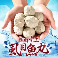 在飛比找ETMall東森購物網優惠-台南正宗手工虱目魚丸10包(300g/包)