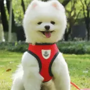 Air Mesh Puppy Small Dog Harness and Leash Mesh Chest Strap Collar for cats/dogs